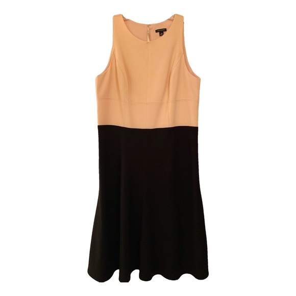 NWOT Ann Taylor beige and black Dress - Picture 1 of 7